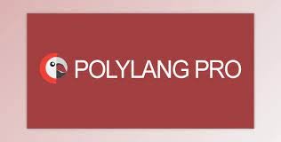 Polylang Pro v3.3.3 – Multilingual Plugin